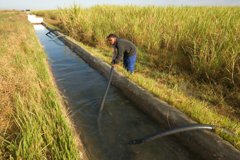 Irrigating sugar cane fields, Kafue Flats, Zambia © Martin Harvey / WWF