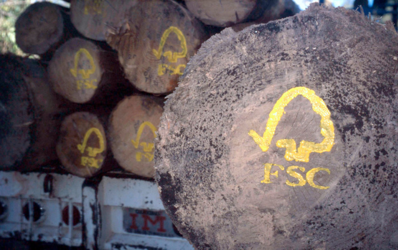 FSC logo painted on sustainably harvested logs. Uzachi forest, Oaxaca, Mexico. © N.C. Turner / WWF-Canon