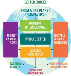 One Planet Perspective