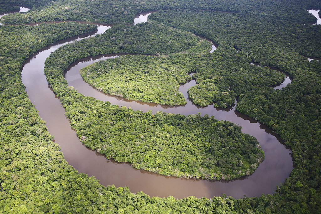 The Amazon rain forest. Loreto region, Peru. © Brent Stirton / Getty Images